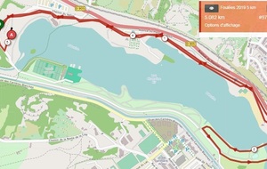5d84d920e403d_5km2019.jpg