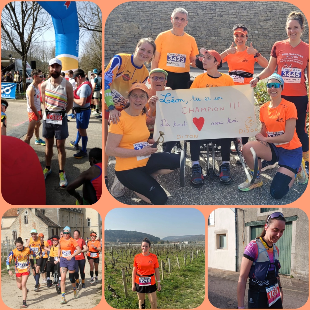 Semi marathon de la vente des vins & foulées Delin (10km) 2026