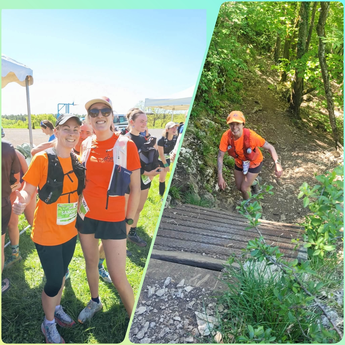 Trail de la chouette 2026